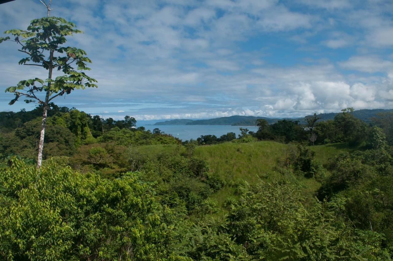 Drake Bay Greenleaf Екстер'єр фото